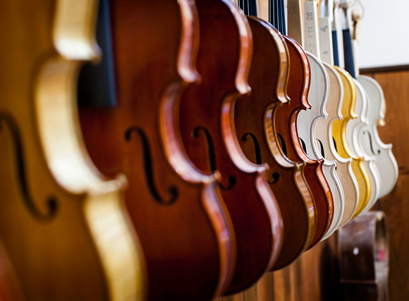 Chicago School Of Violin Making,
